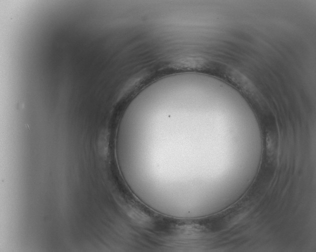 X0000072940396200607282209