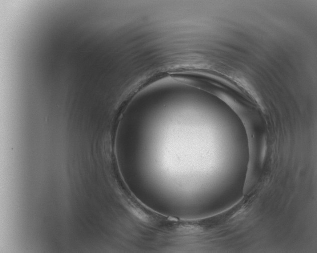 X0000072940397200607282209