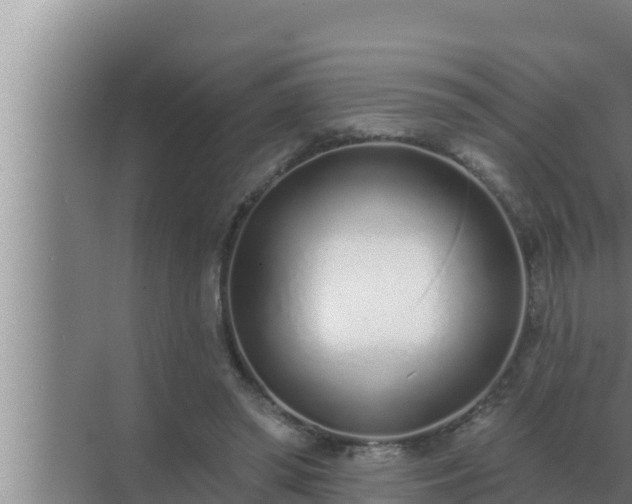 X0000072940398200607282209