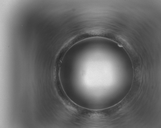 X0000072940400200607282209