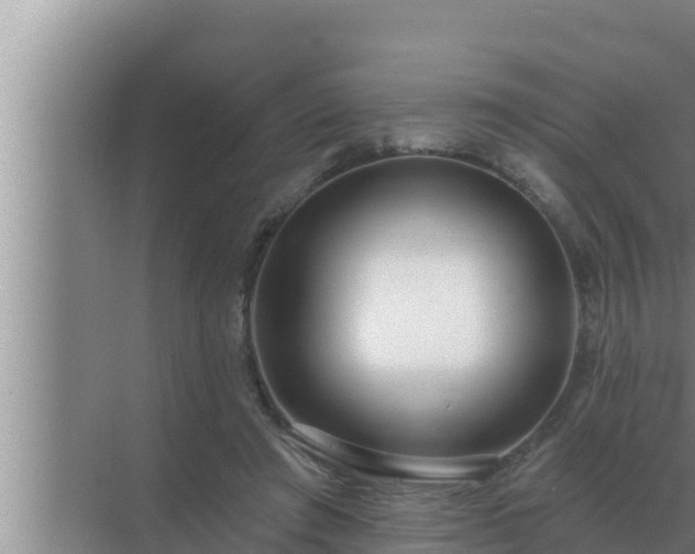 X0000072940401200607282208