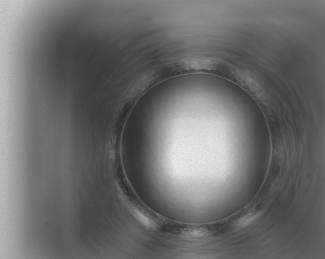 X0000072940402200607282208