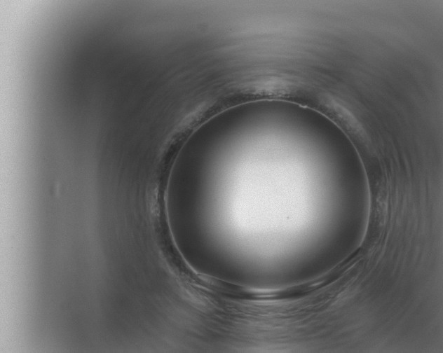 X0000072940403200607282208