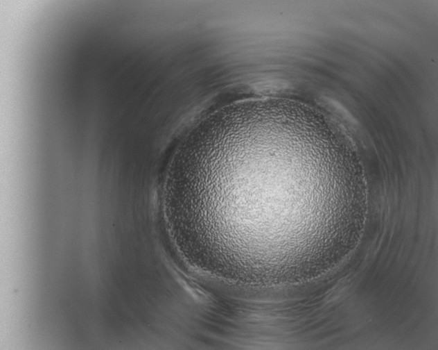 X0000072940405200607282208