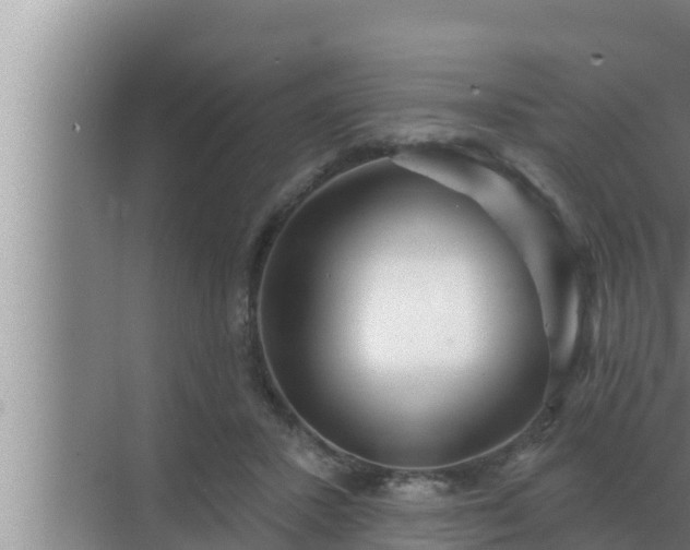 X0000072940407200607282208