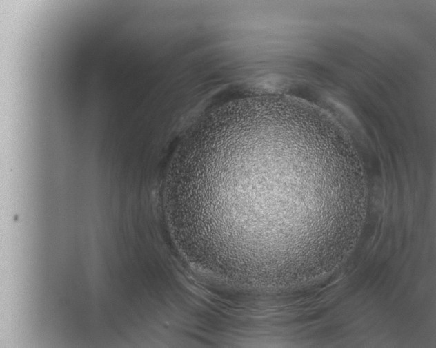 X0000072940409200607282208