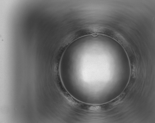 X0000072940410200607282208