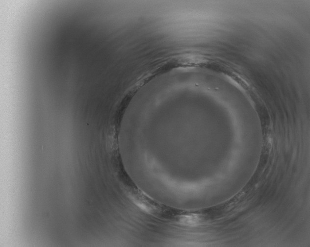 X0000072940411200607282208