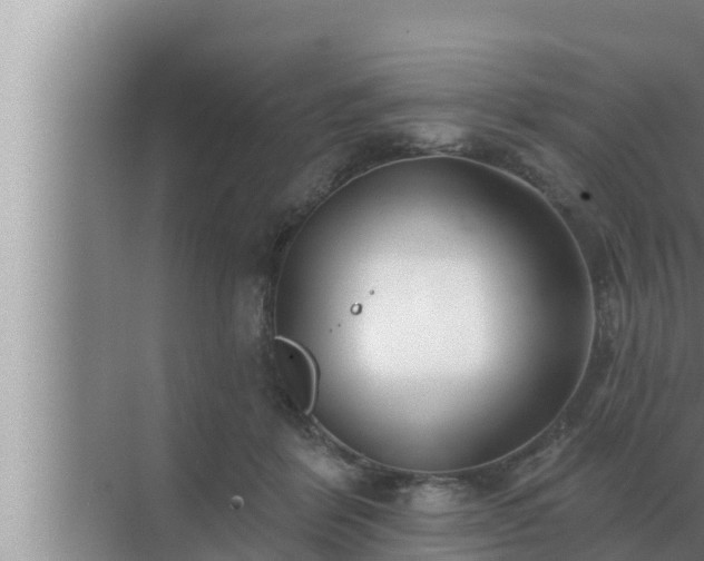 X0000072940412200607282208