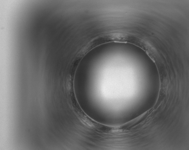 X0000072940413200607282208