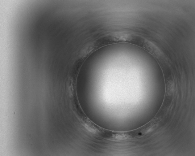 X0000072940414200607282208