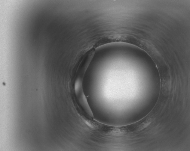 X0000072940416200607282208