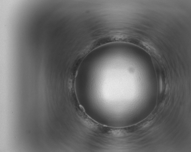 X0000072940417200607282208