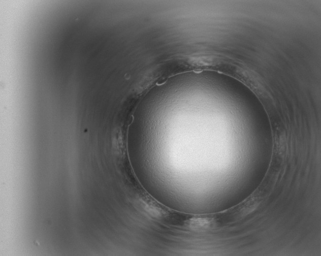 X0000072940418200607282208