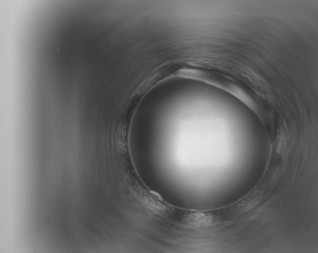 X0000072940421200607282208