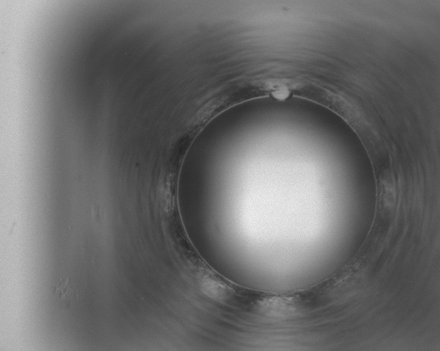 X0000072940422200607282208