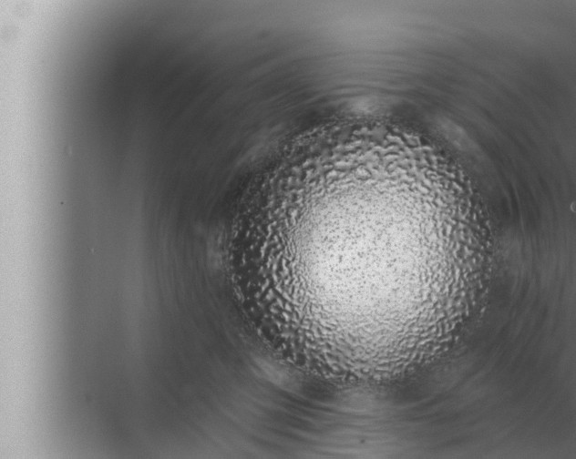 X0000072940423200607282208