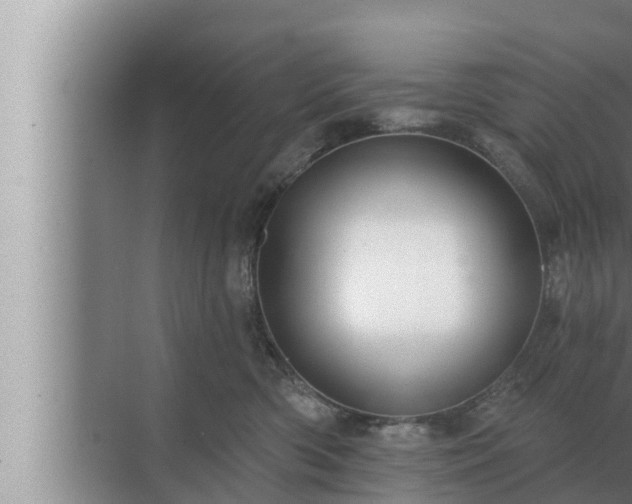 X0000072940426200607282208