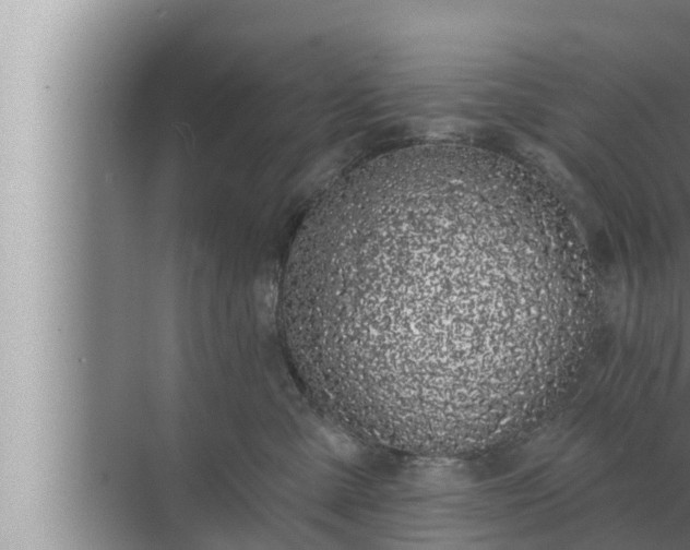 X0000072940427200607282208