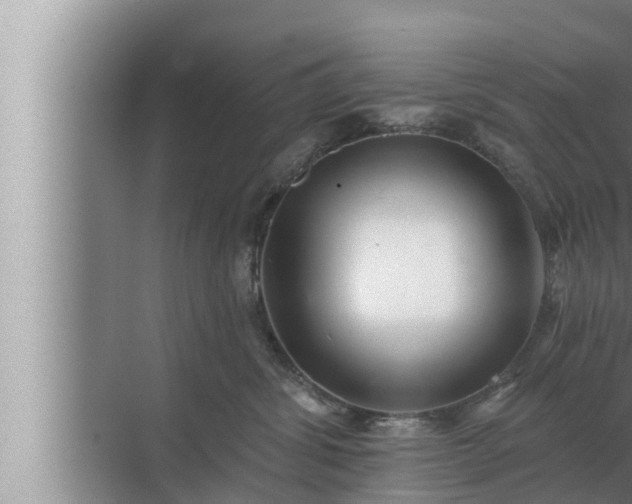 X0000072940428200607282208