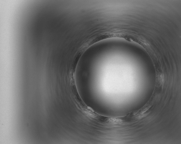 X0000072940429200607282208