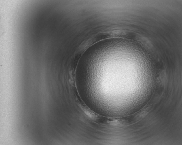 X0000072940430200607282208