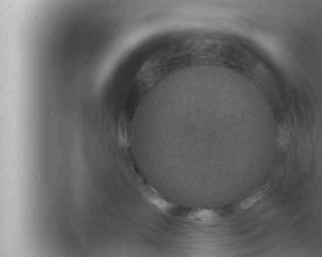 X0000072940431200607282208