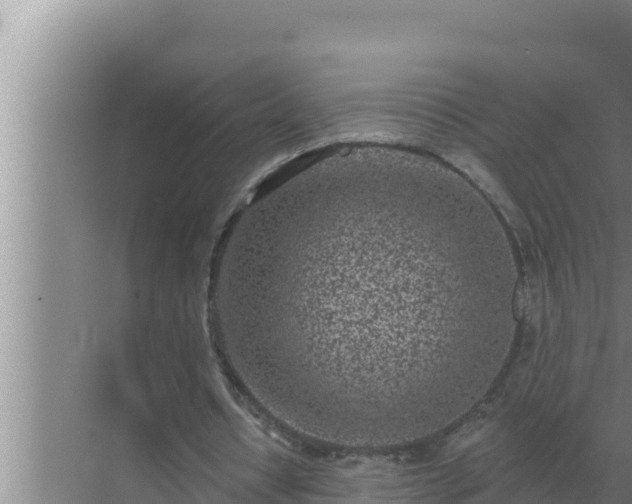 X0000072940434200607282207