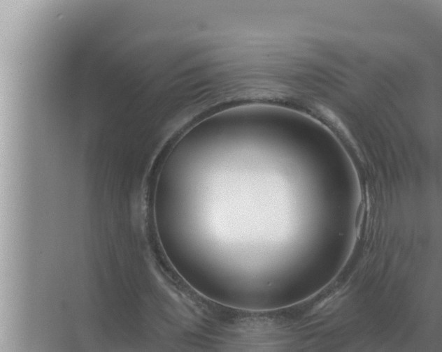 X0000072940435200607282207