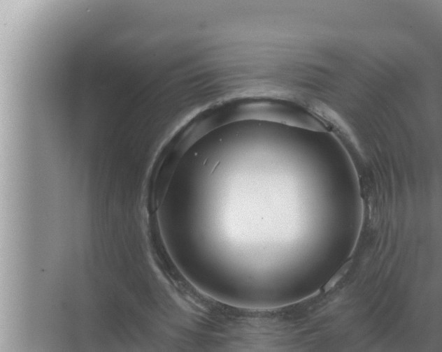 X0000072940436200607282207