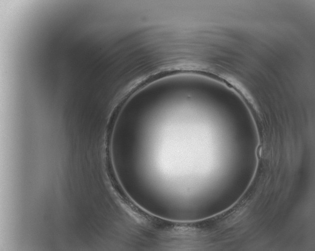 X0000072940437200607282207