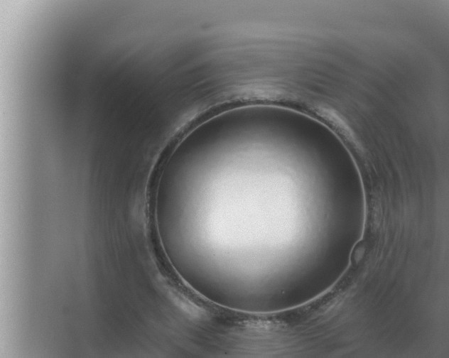 X0000072940439200607282207