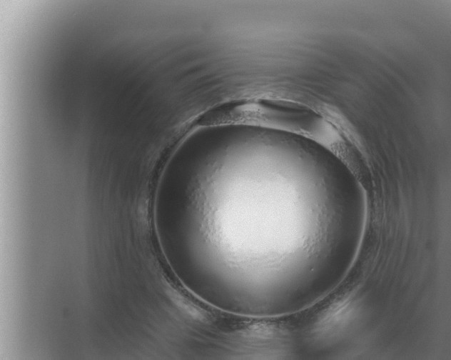 X0000072940441200607282207