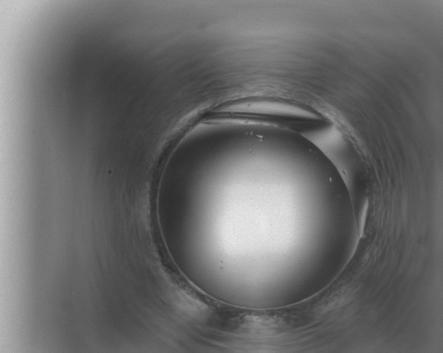 X0000072940442200607282207