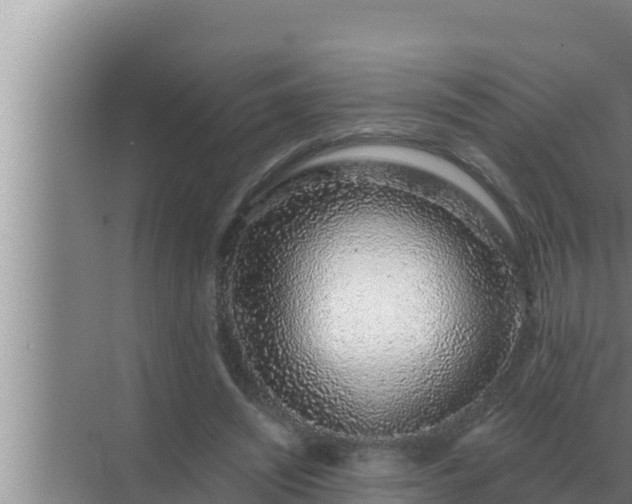 X0000072940444200607282207