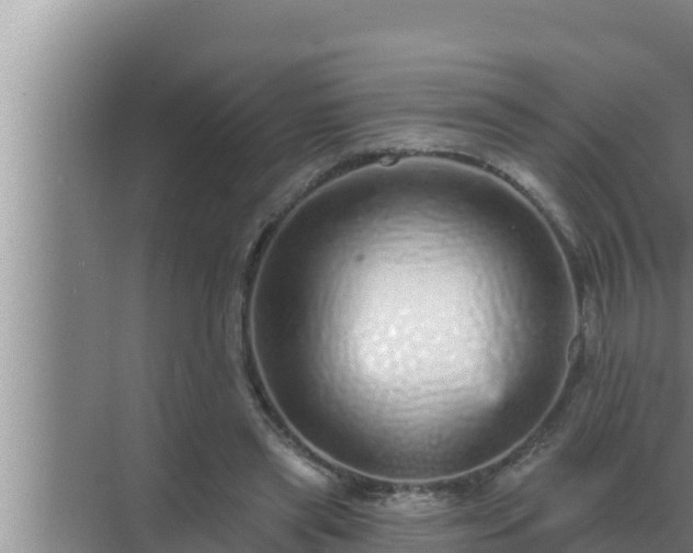 X0000072940445200607282207