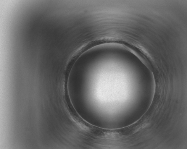 X0000072940446200607282207