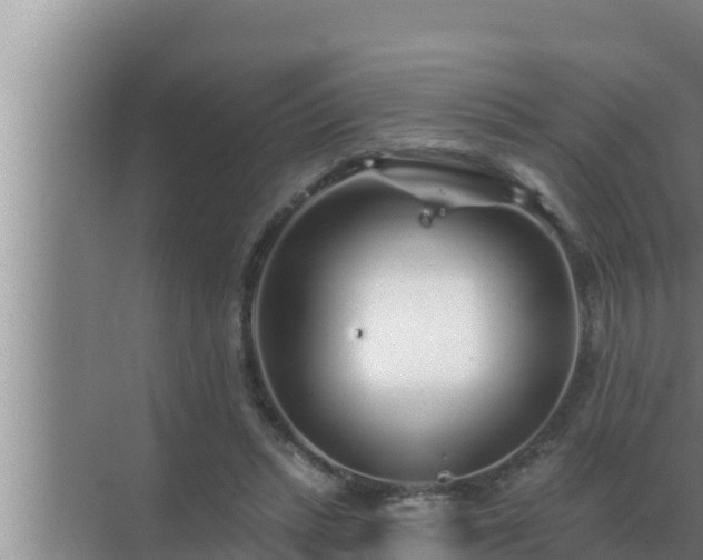 X0000072940447200607282207