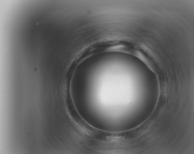 X0000072940448200607282207