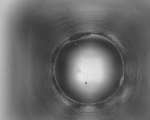 X0000072940449200607282207