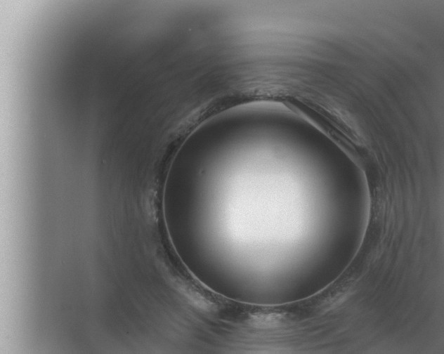 X0000072940450200607282207