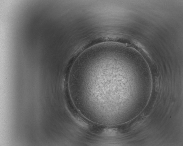 X0000072940451200607282207