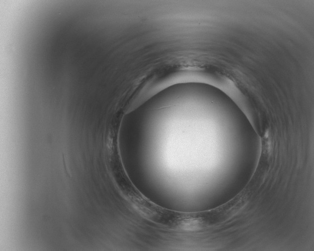 X0000072940456200607282208