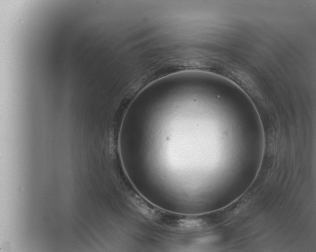 X0000072940457200607282208