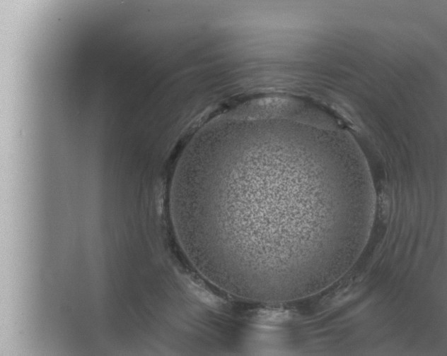 X0000072940458200607282208