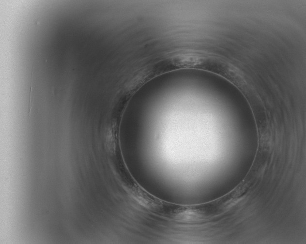 X0000072940460200607282208