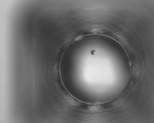 X0000072940461200607282208