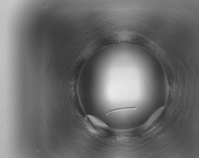 X0000072940462200607282208