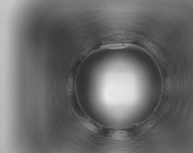 X0000072940463200607282208