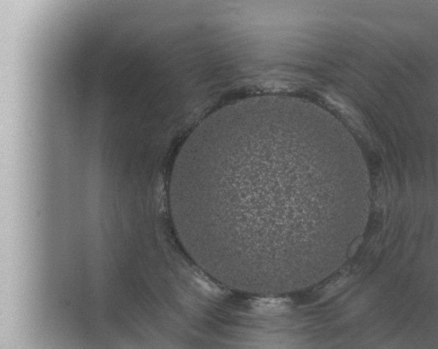 X0000072940465200607282208